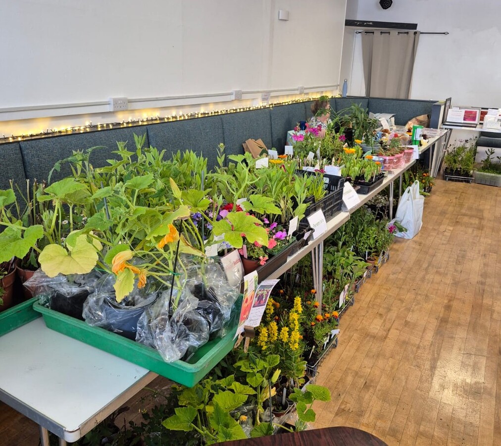 Our plant stall